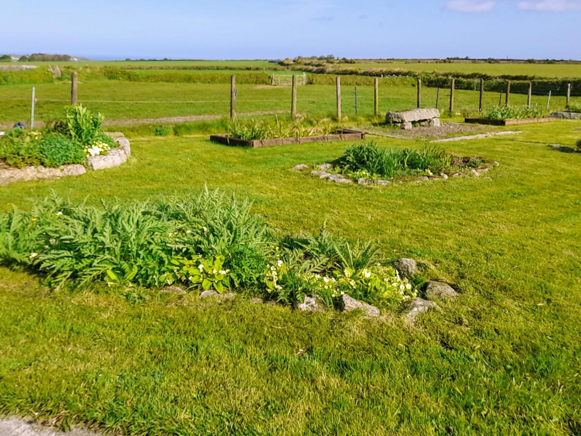 Ash Tree Cottage Carnbrea Extérieur photo